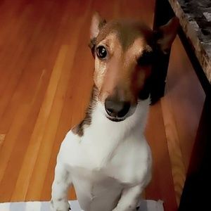 Meet your Posher, Tom